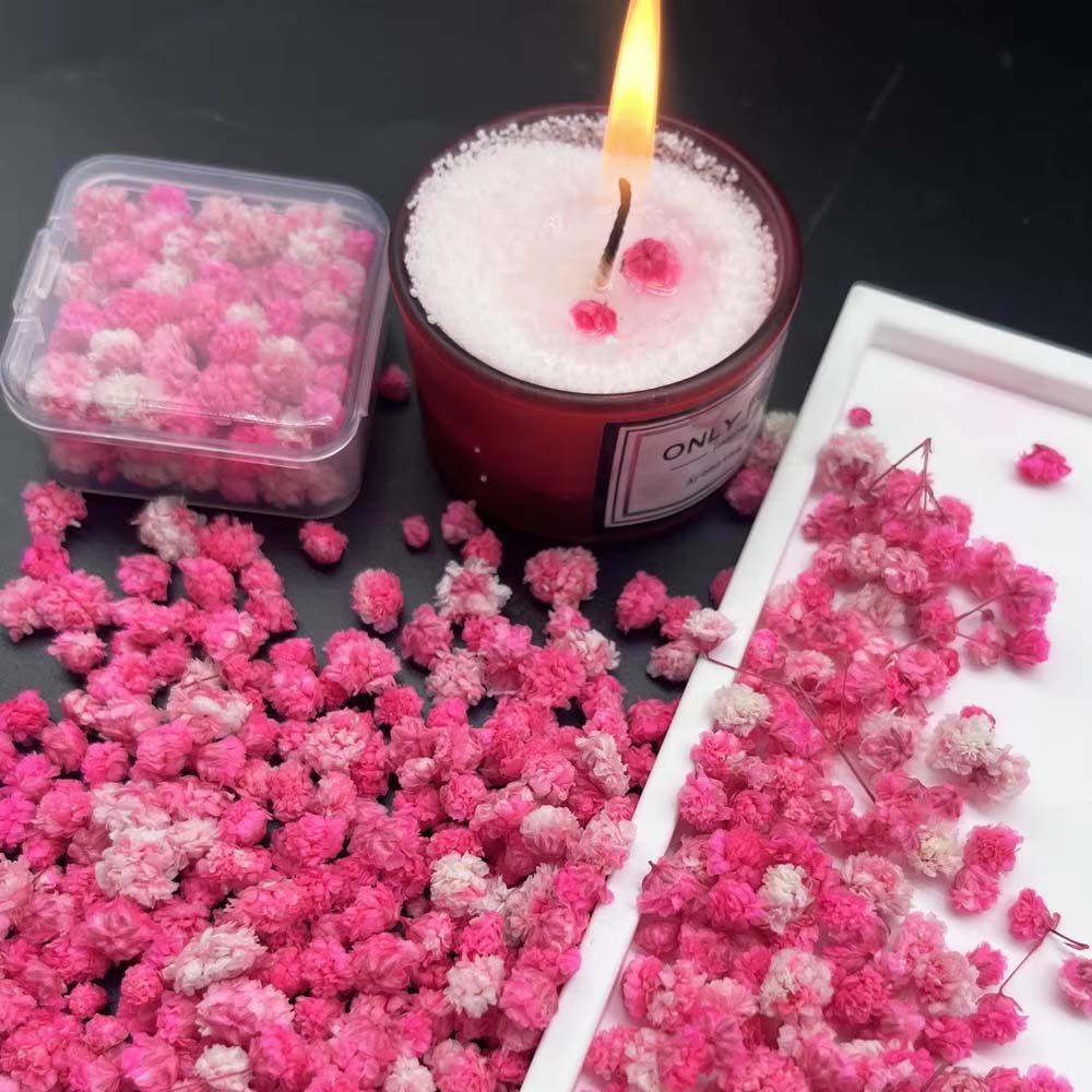 Resin Art Earrings Design - 1Box Flower Mix for Crafts Candle
