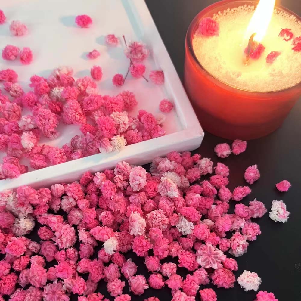 1Box Flower Mix for Crafts Can - Resin Art Earrings Design 评论和价格
